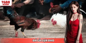 đá gà cựa dao tại nhà cái uy tín tg88