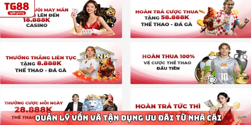 khuyến mãi đá gà cựa dao hấp dẫn nhà cái tg88