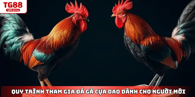 rút tiền đá gà tg88 siêu tốc tg88
