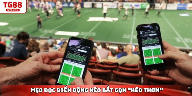 rút tiền thắng cược thể thao nhanh chóng tg88