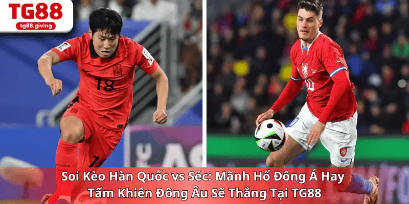 soi kèo hàn quốc với séc